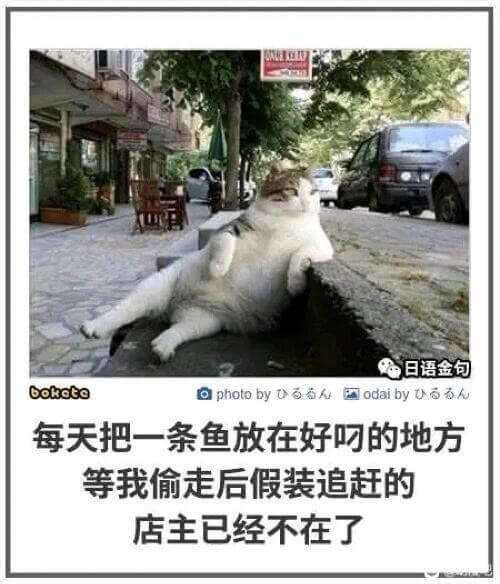 日语金句bootophotobyuoahodaibyUooh