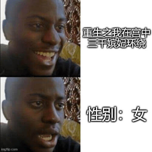 重生之我在宫中三千嫔妃环绕性别：女imgflip.com