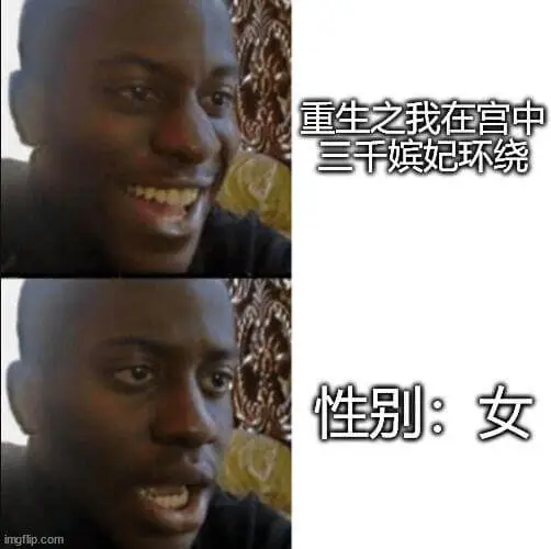 重生之我在宫中三千嫔妃环绕性别：女imgflip.com