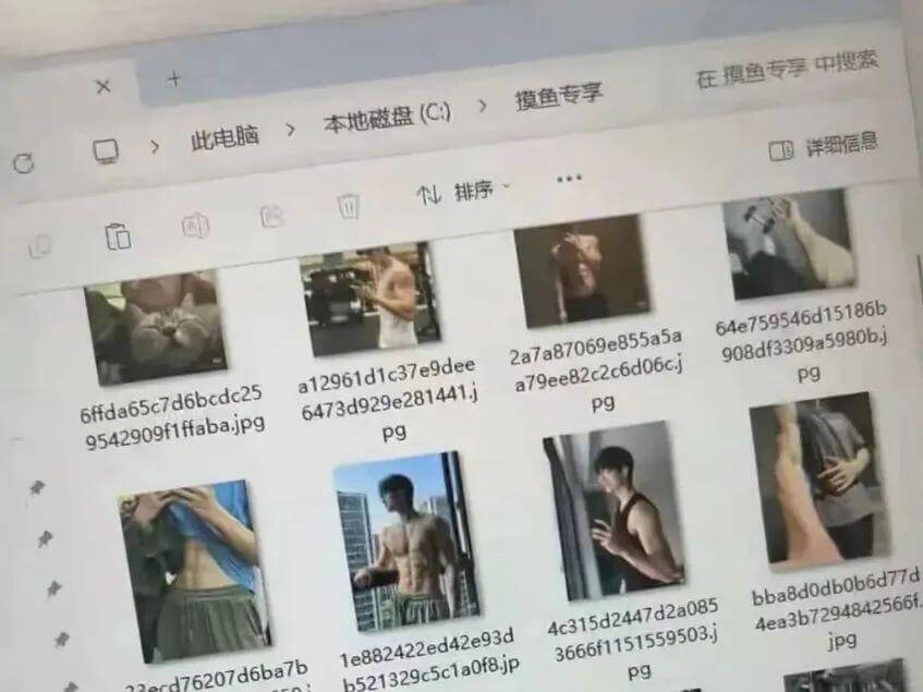在搏鱼专享中搜索X摸鱼专享此电脑|本地磁盘(C:)□详细信息