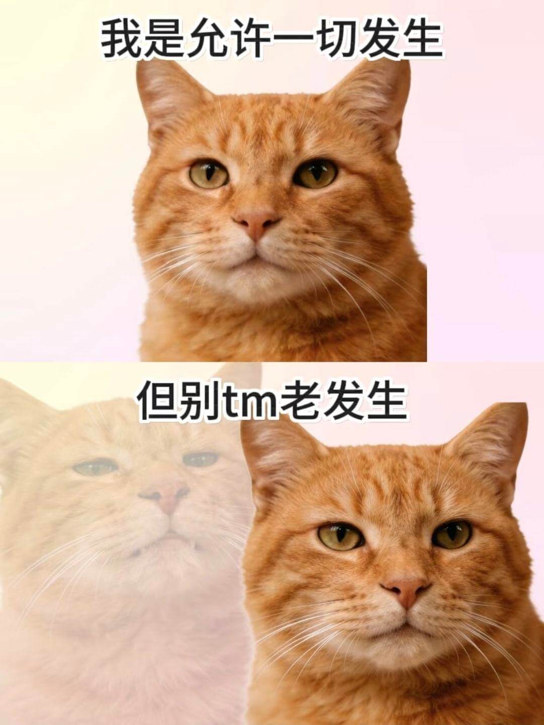 我是允许一切发生，但别TM老发生。