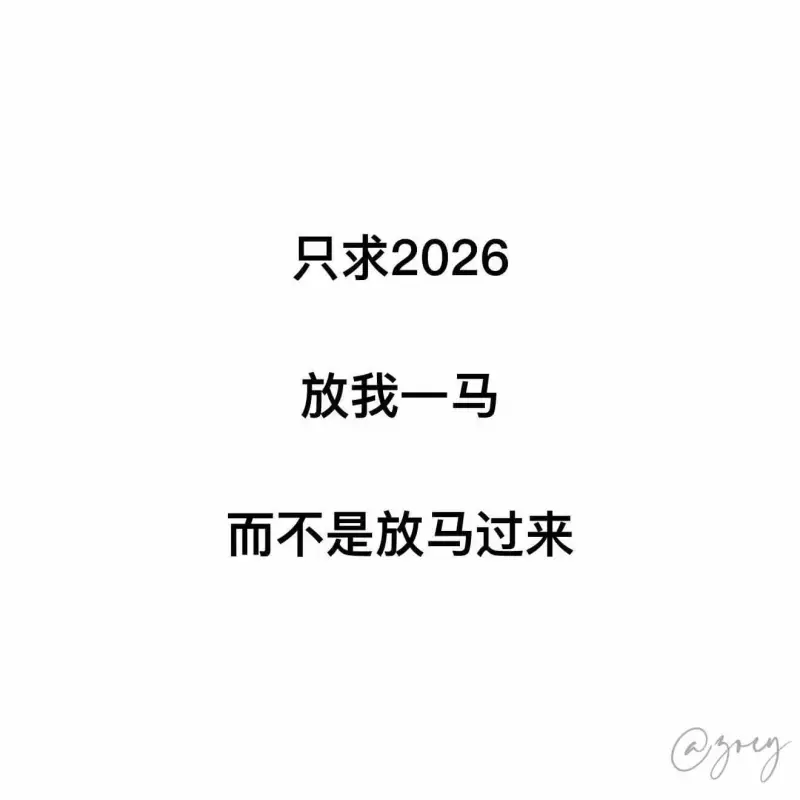只求2026放我一马而不是放马过来C
