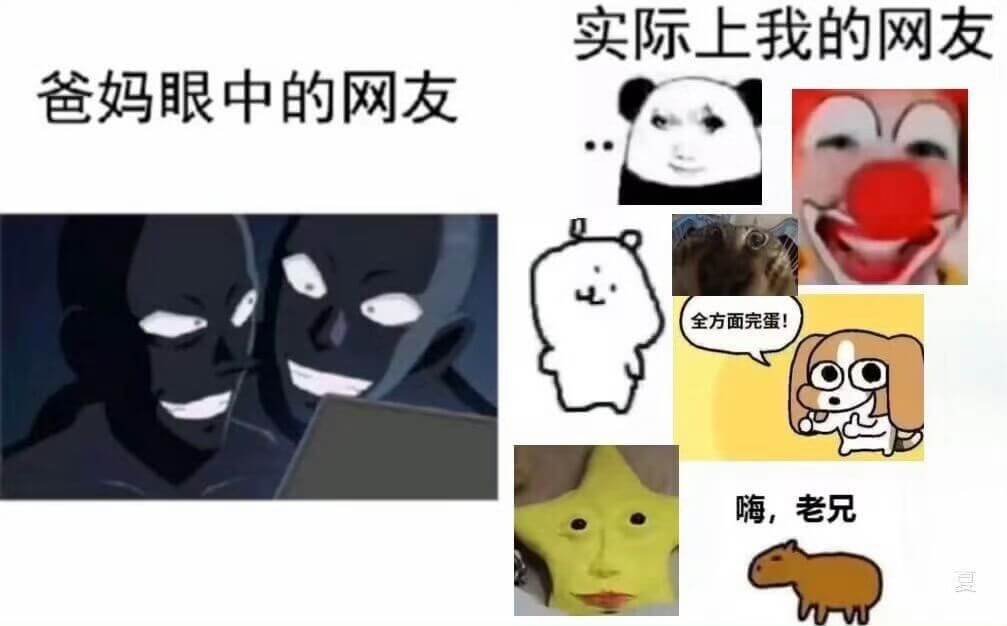爸妈眼中的网友实际上我的网友全方面完蛋!嗨，老兄