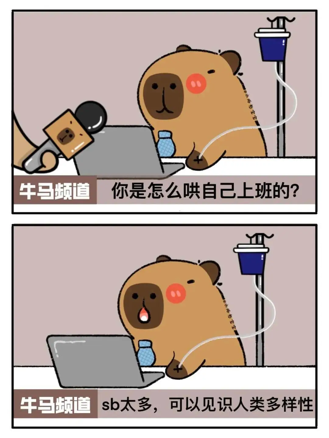 牛马频道你是怎么哄自己上班的？牛马频道sb太多，可以见识人类