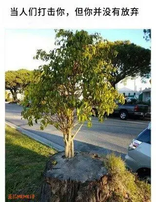 当人们打击你，但你并没有放弃