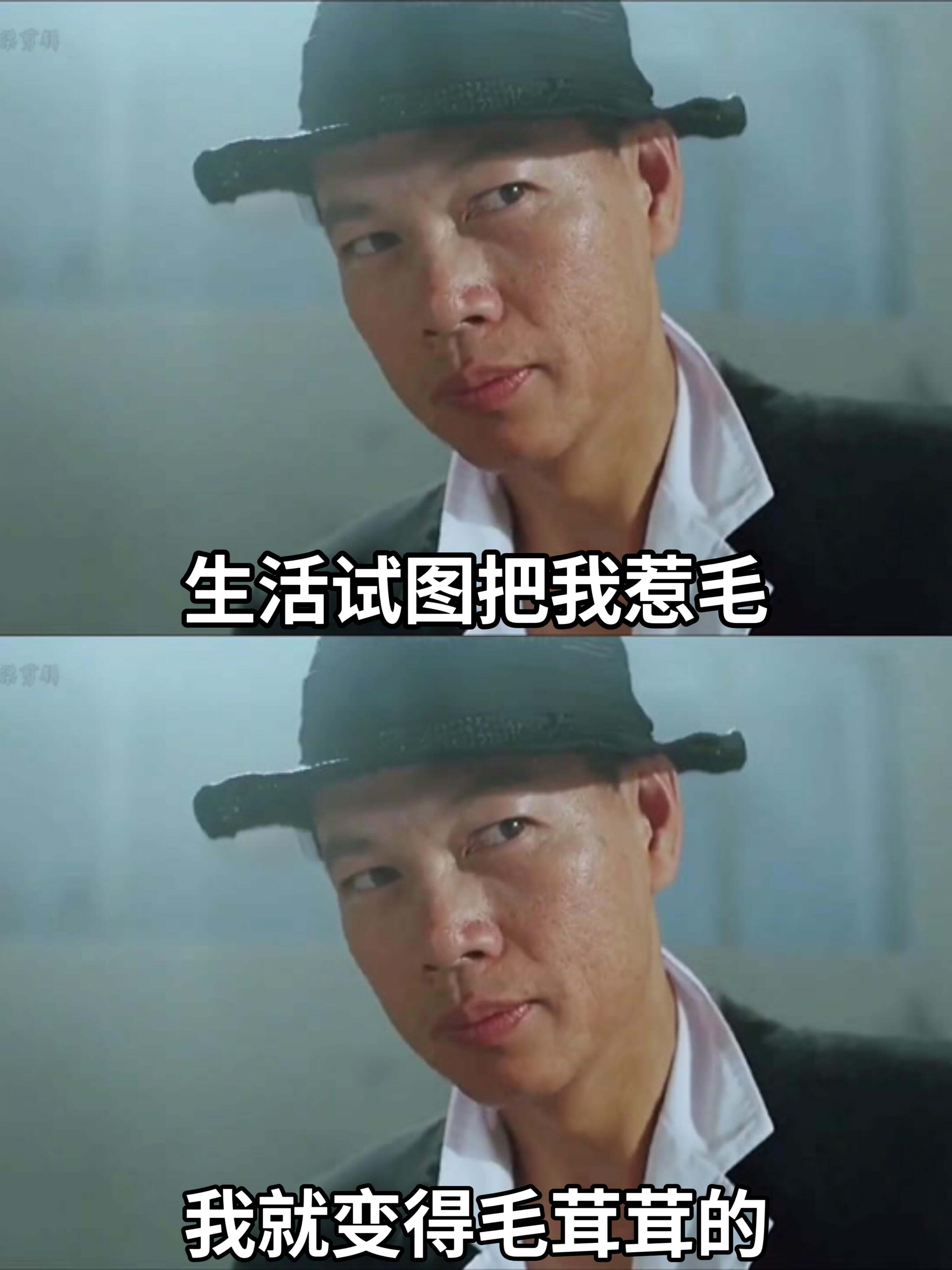 生活试图把我惹毛我就变得毛茸茸的