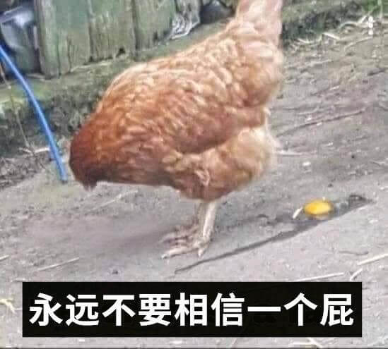 永远不要相信一个屁