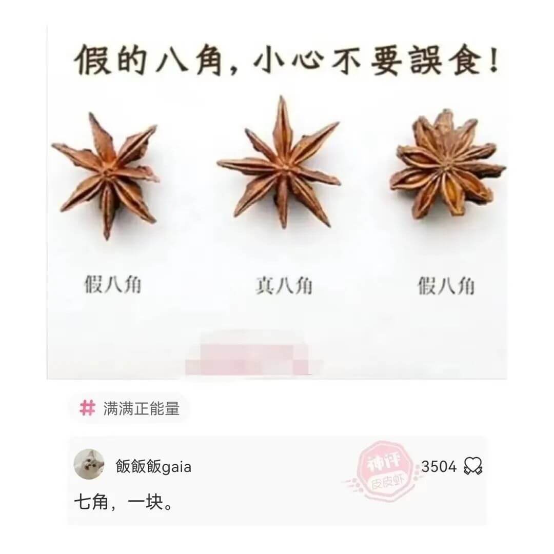 假的八角,小心不要誤食!假八角假八角真八角满满正能量飯飯飯g