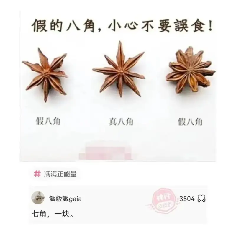 假的八角,小心不要誤食!假八角假八角真八角满满正能量飯飯飯g