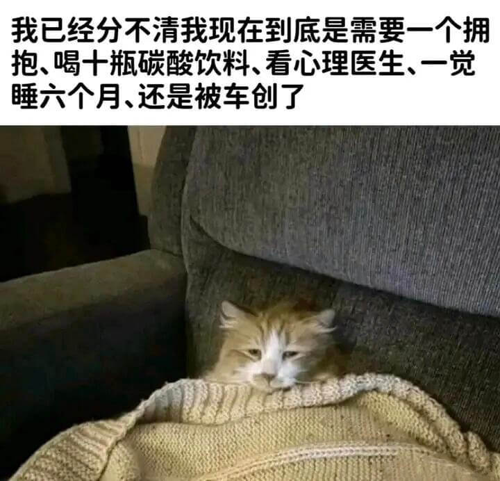我已经分不清我现在到底是需要一个拥抱、喝十瓶碳酸饮料、看心理