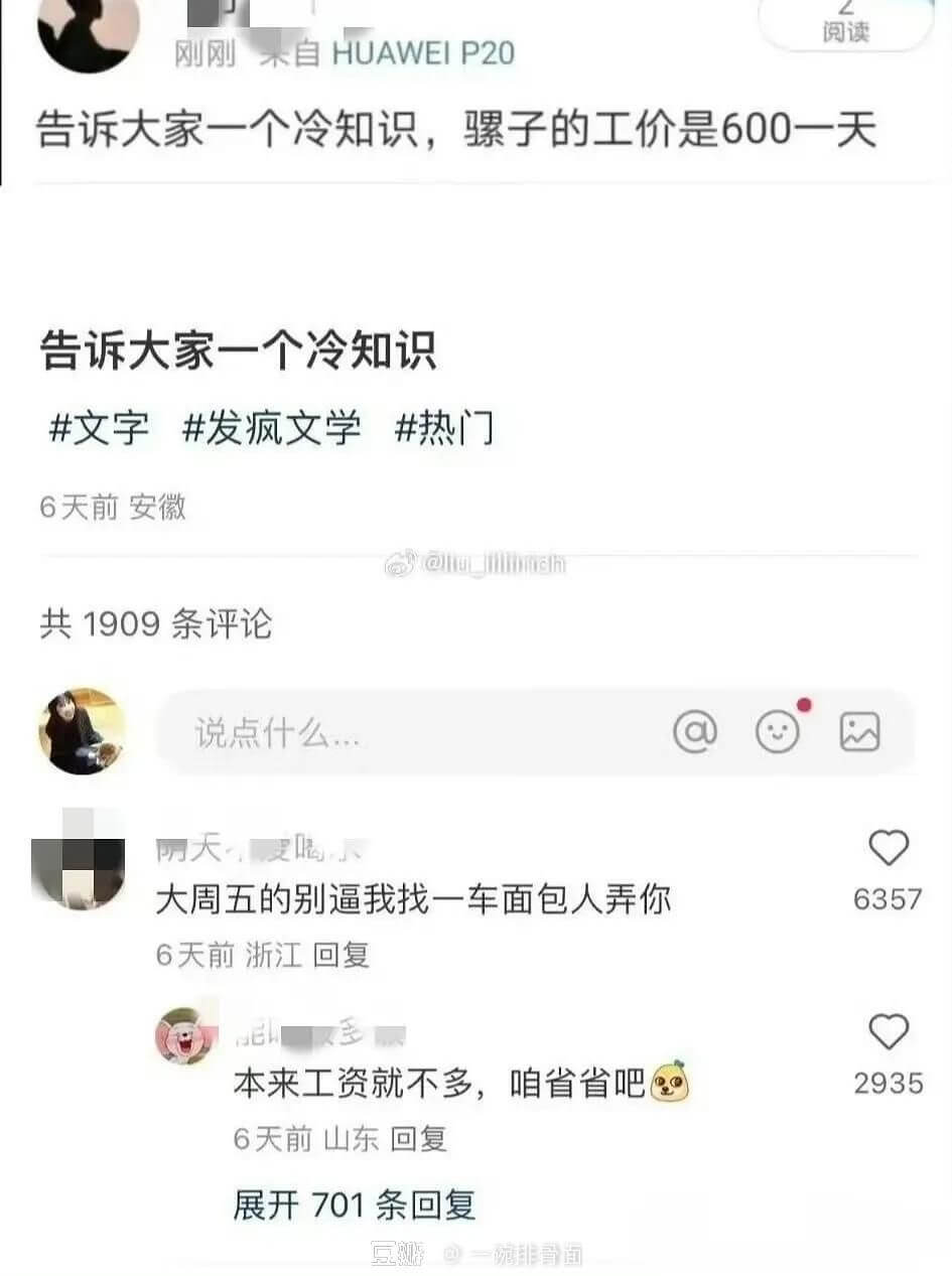 阅读刚刚来自HUAWEIP20告诉大家一个冷知识，骤子的工价