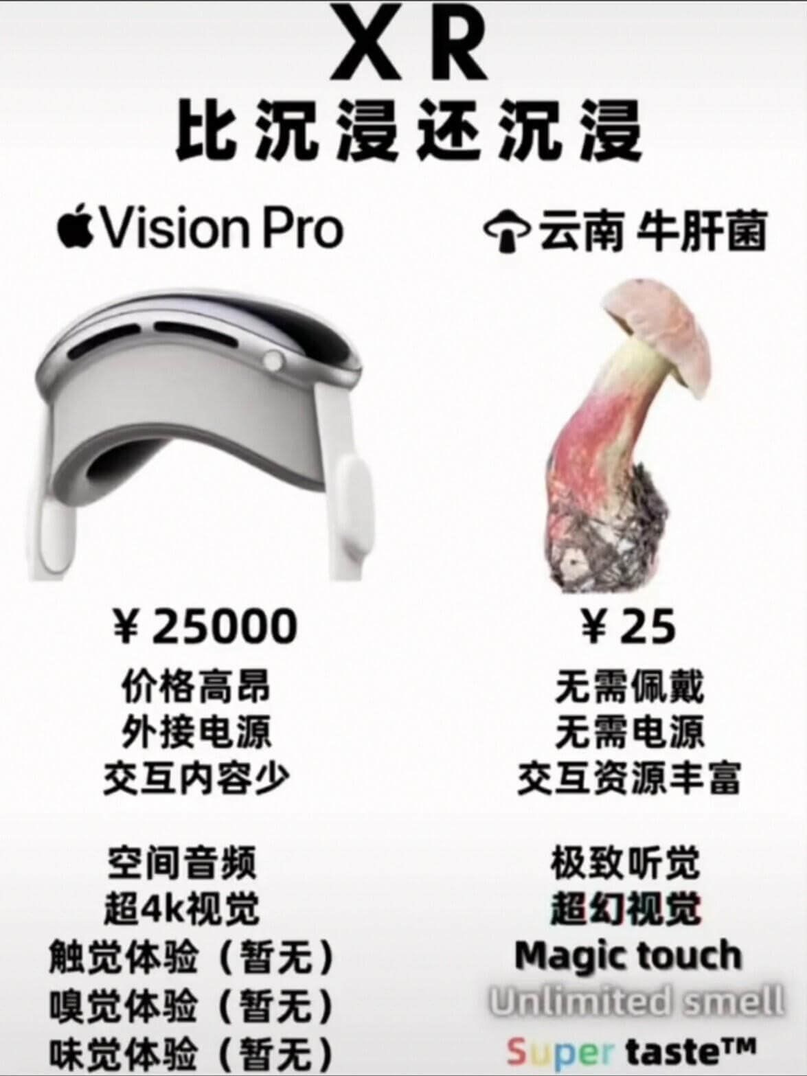 XR比况浸还沉浸VisionPro个云南牛肝菌￥25000￥