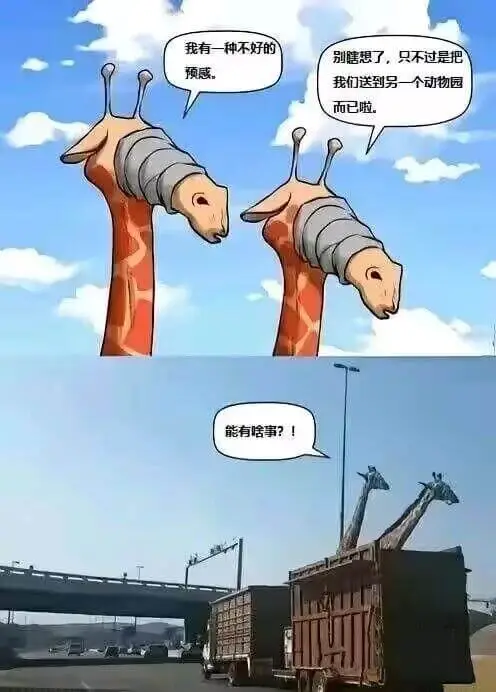 我有一种不好的预感别瞎思了，只不过是把我们送到另一个动物园而