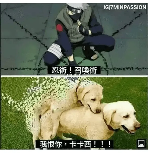 梗图