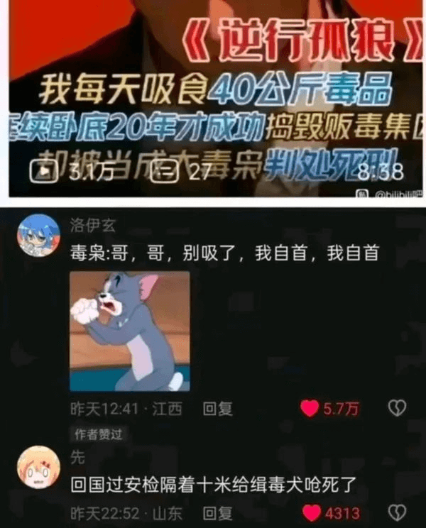 《逆行孤狼》我每天吸食40公斤毒品，实卧底20年才成功捣毁贩