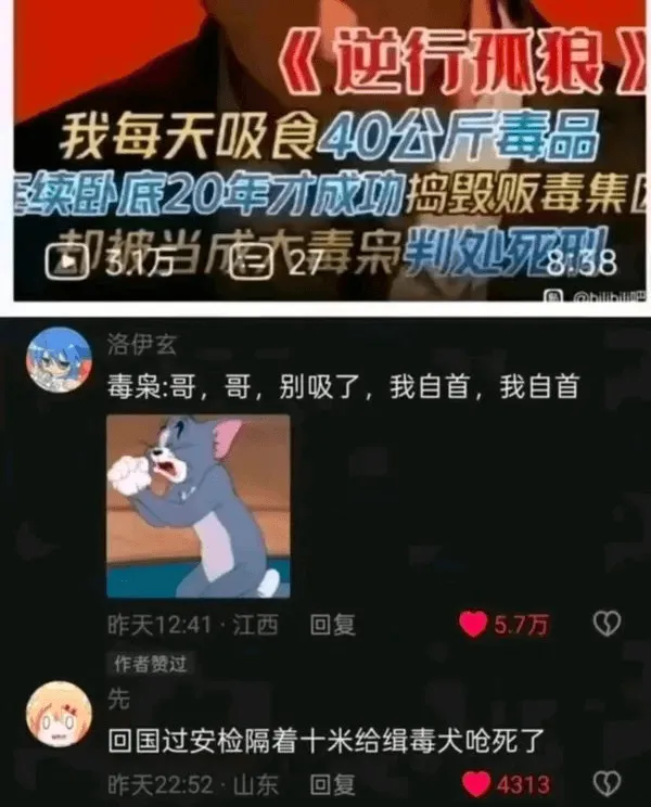《逆行孤狼》我每天吸食40公斤毒品，实卧底20年才成功捣毁贩