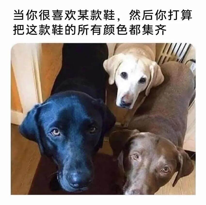 当你很喜欢某款鞋，然后你打算把这款鞋的所有颜色都集齐