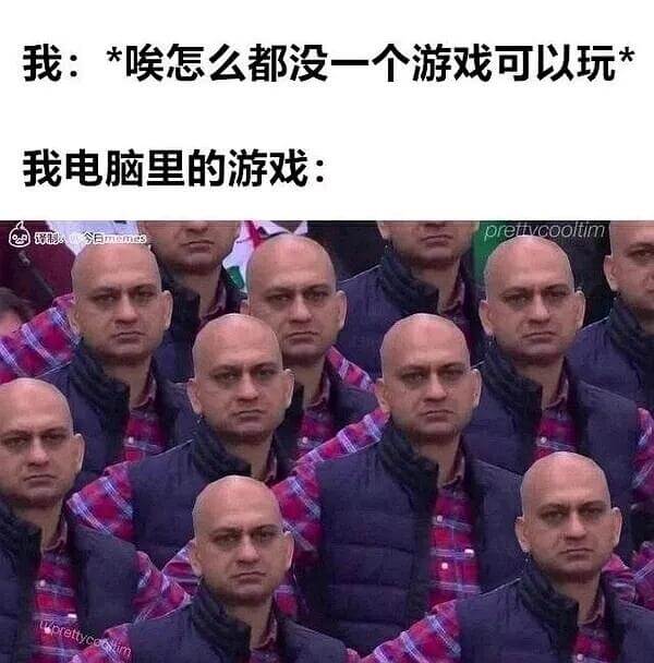 我：*喉怎么都没一个游戏可以玩我电脑里的游戏：