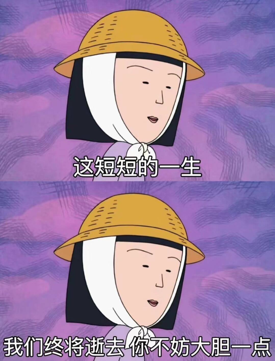 这短短的一生我们终将逝去，你不妨大胆一点