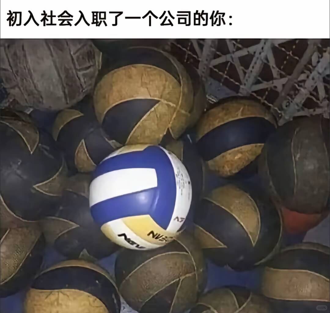 初入社会入职了一个公司的你：