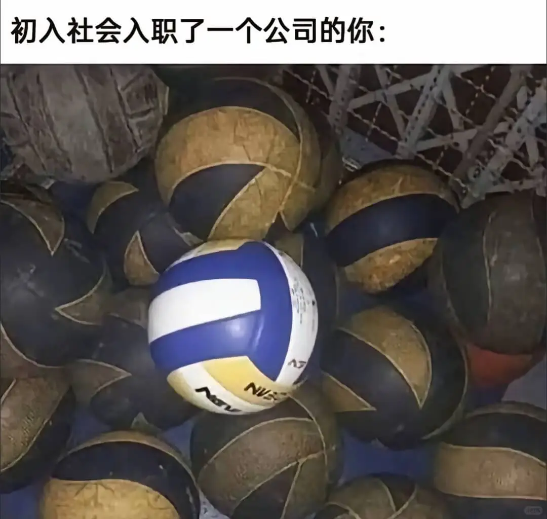 初入社会入职了一个公司的你：