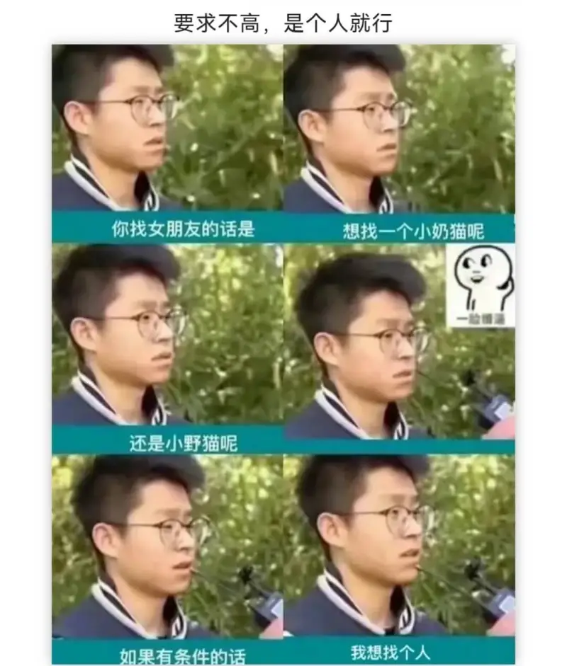要求不高，是个人就行你找女朋友的话是想找一个小奶猫呢还是小野