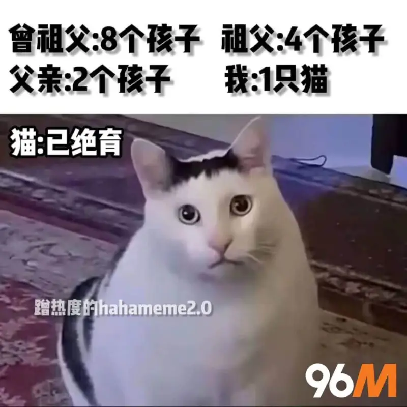 猫也算后代？
