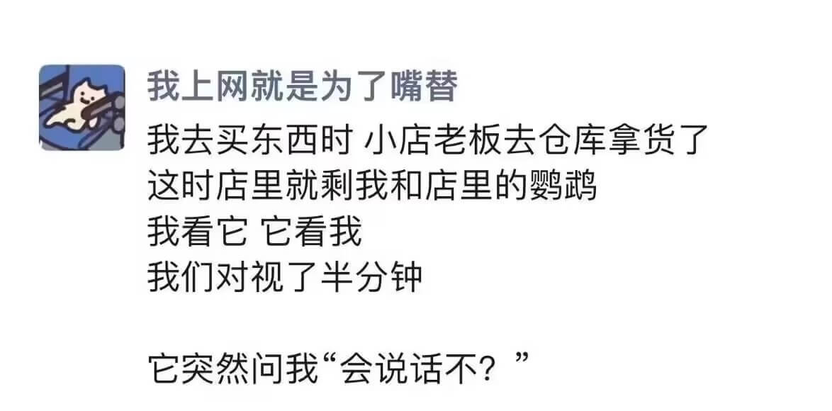 我上网就是为了嘴替。我去买东西时，小店老板去仓库拿货了。这时