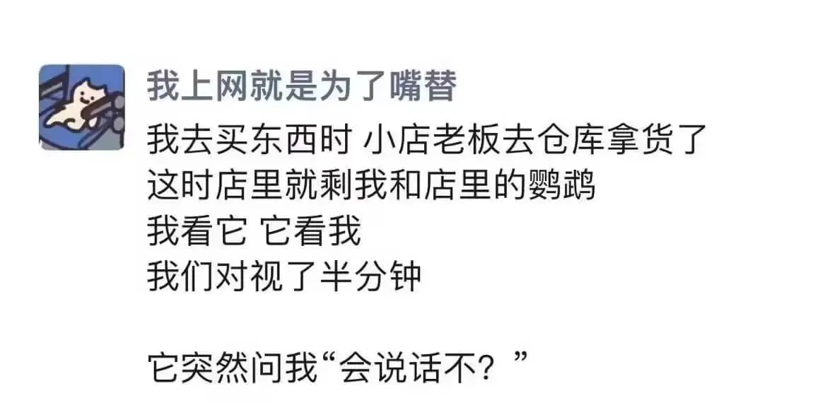 我上网就是为了嘴替。我去买东西时，小店老板去仓库拿货了。这时