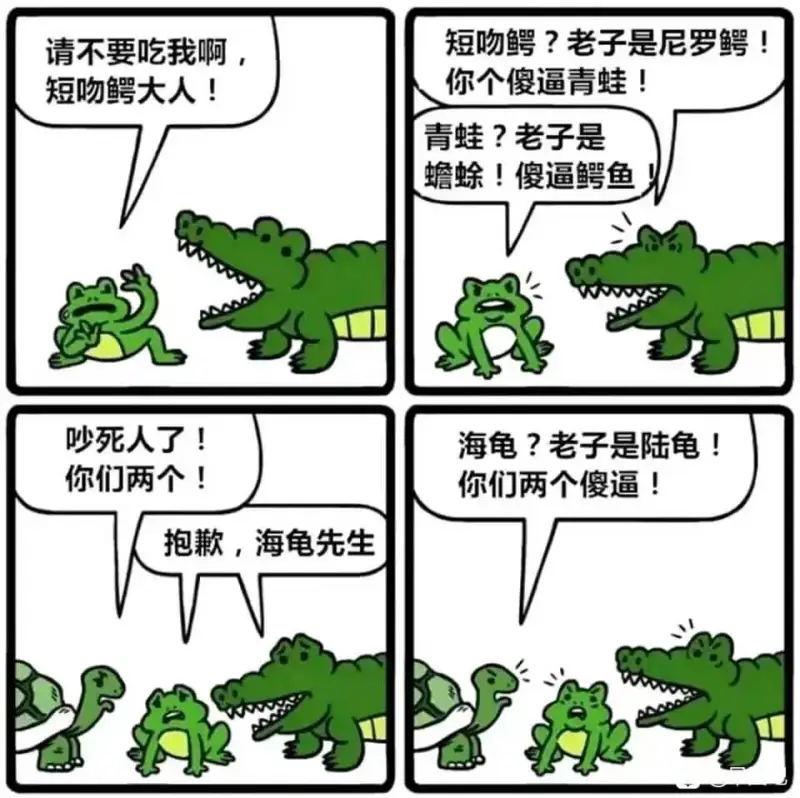 请不要吃我啊，短吻鳄大人！吵死人了！你们两个！抱歉，海龟先生