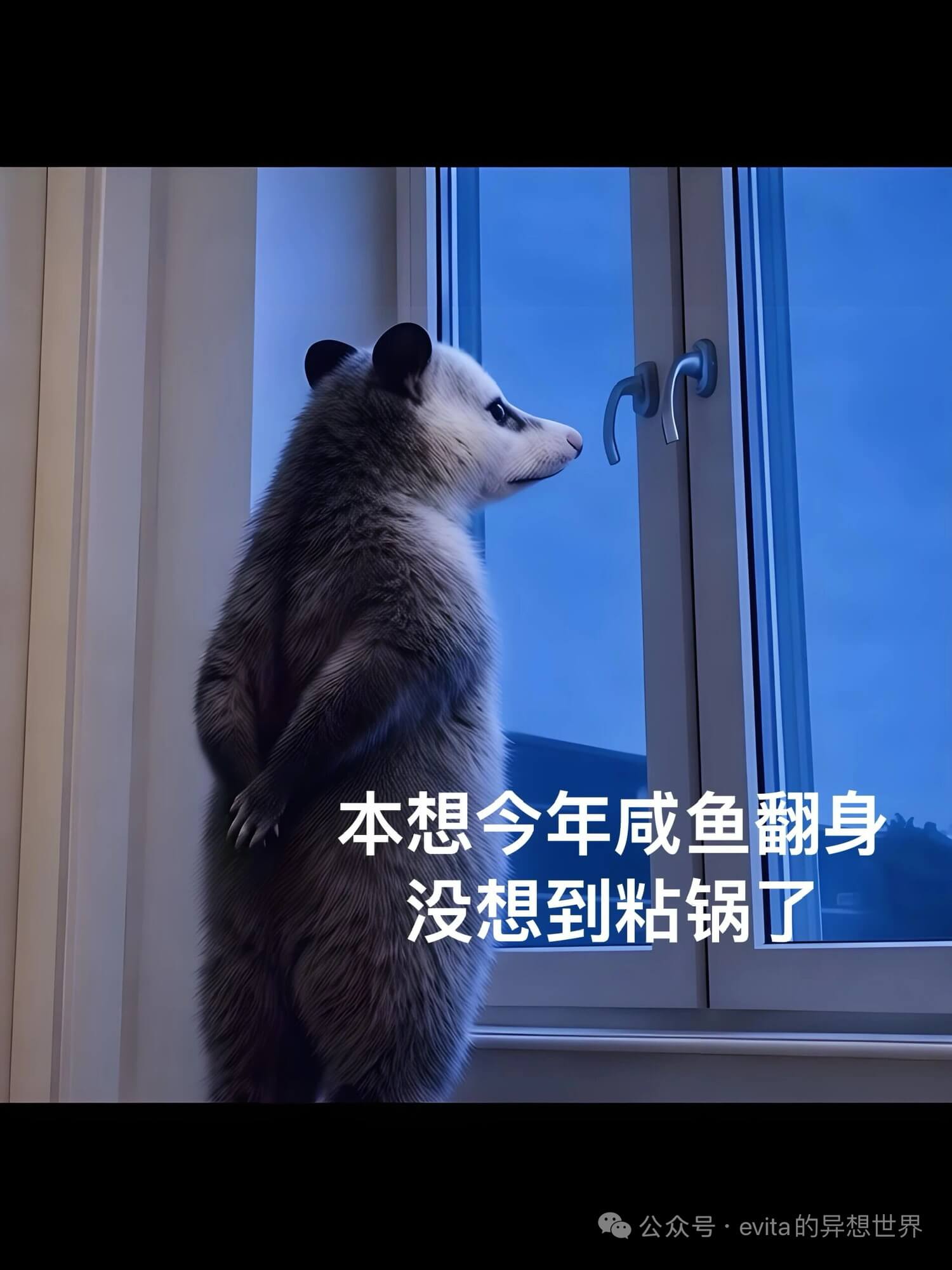 本想今年咸鱼翻身,没想到粘锅了。公众号·evita的异想世界
