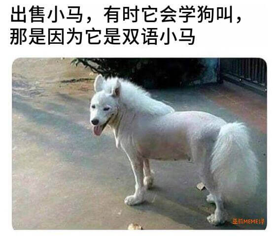 出售小马，有时它会学狗叫，那是因为它是双语小马。巫MEME泽