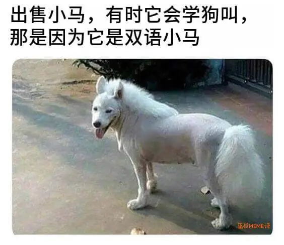 出售小马，有时它会学狗叫，那是因为它是双语小马。巫MEME泽
