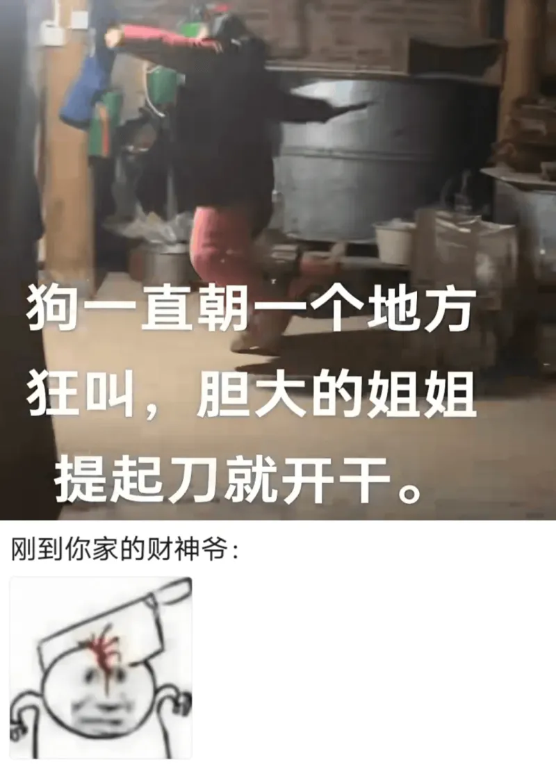 狗一直朝一个地方狂叫，胆大的姐姐提起力刀就开干，刚到你家的财
