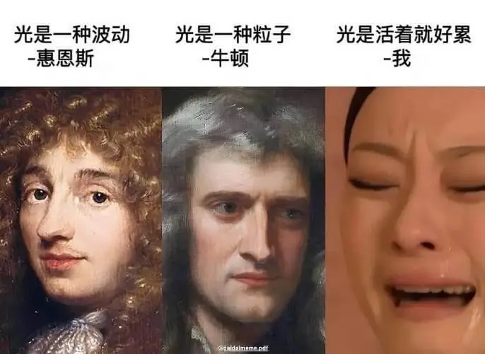 光是一种波动——惠更斯光是一种粒子——牛顿光是活着就好累——
