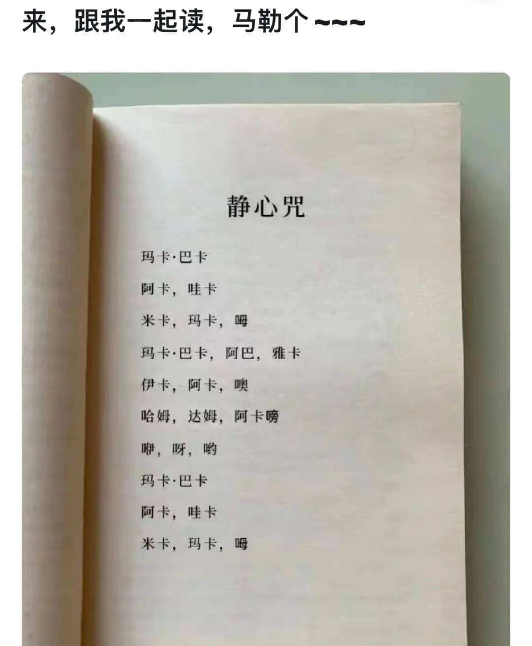 来，跟我一起读，马勒个～～静心咒玛卡·巴卡阿卡，哇卡米卡，玛