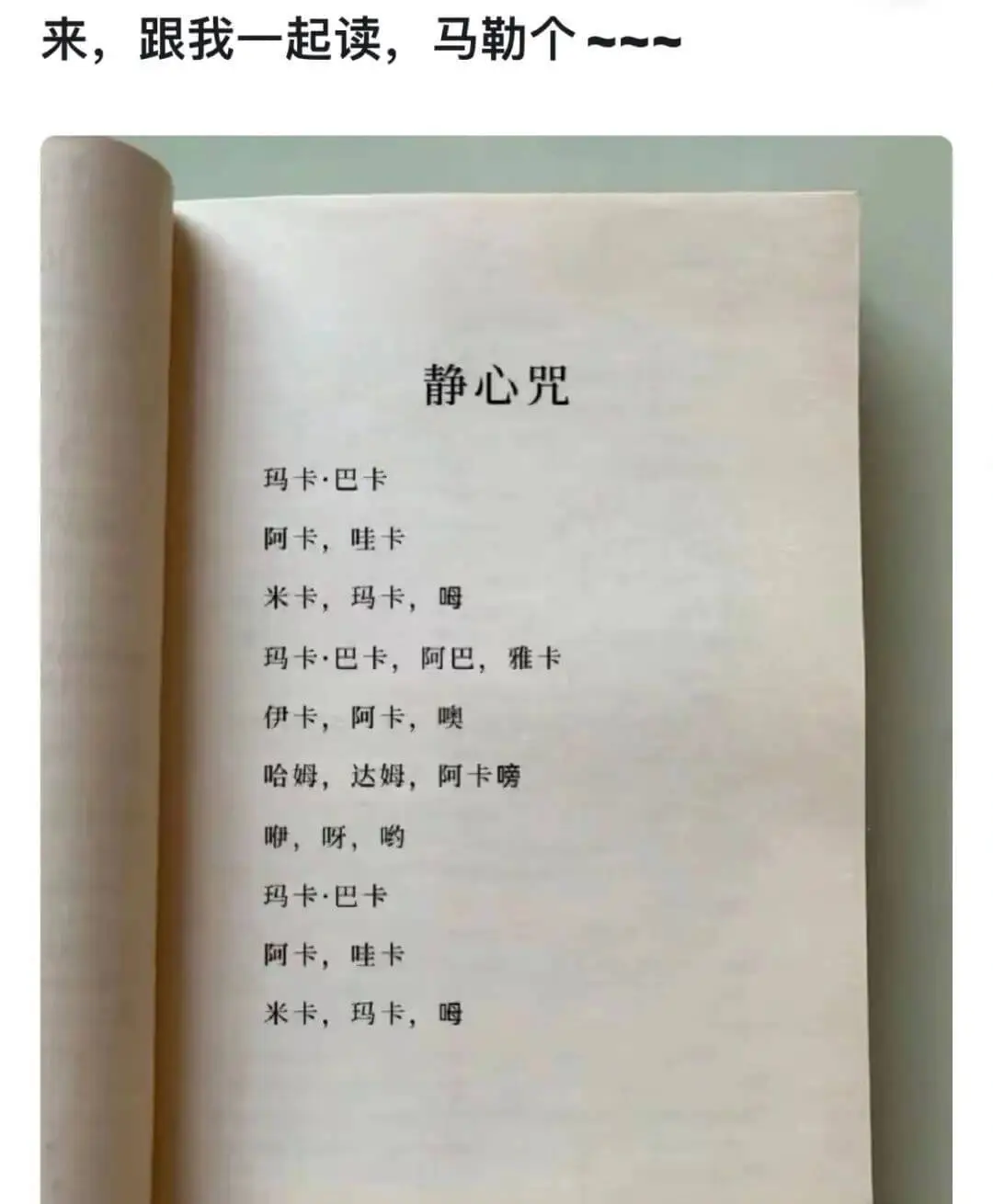 来，跟我一起读，马勒个～～静心咒玛卡·巴卡阿卡，哇卡米卡，玛
