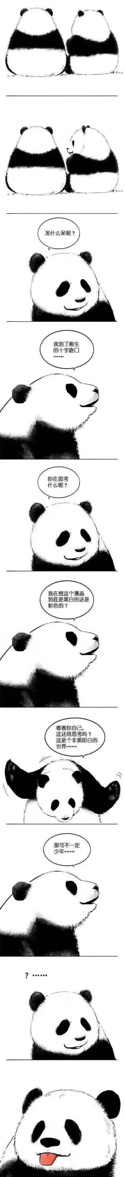 发什么呆呢？我到了熊生的十字路口。你在思考什么呢？我在想这个