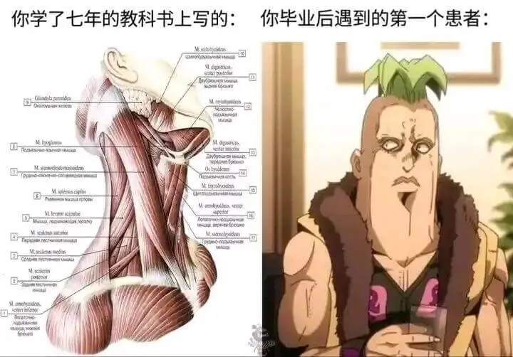 你学了七年的教科书上写的：你毕业后遇到的第一个患者：1