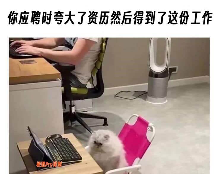 你应聘时夸大了资历然后得到了这份工作梗图PrO译制