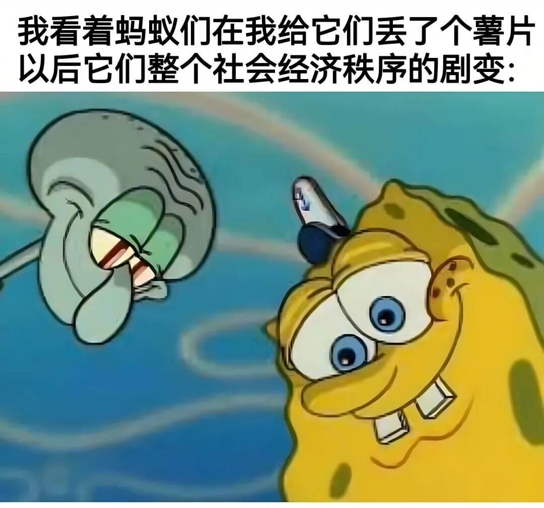 我看着蚂蚁们，在我给它们丢了个薯片以后，它们整个社会经济秩序