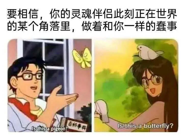 要相信，你的灵魂伴侣此刻正在世界的某个角落里，做着和你一样的