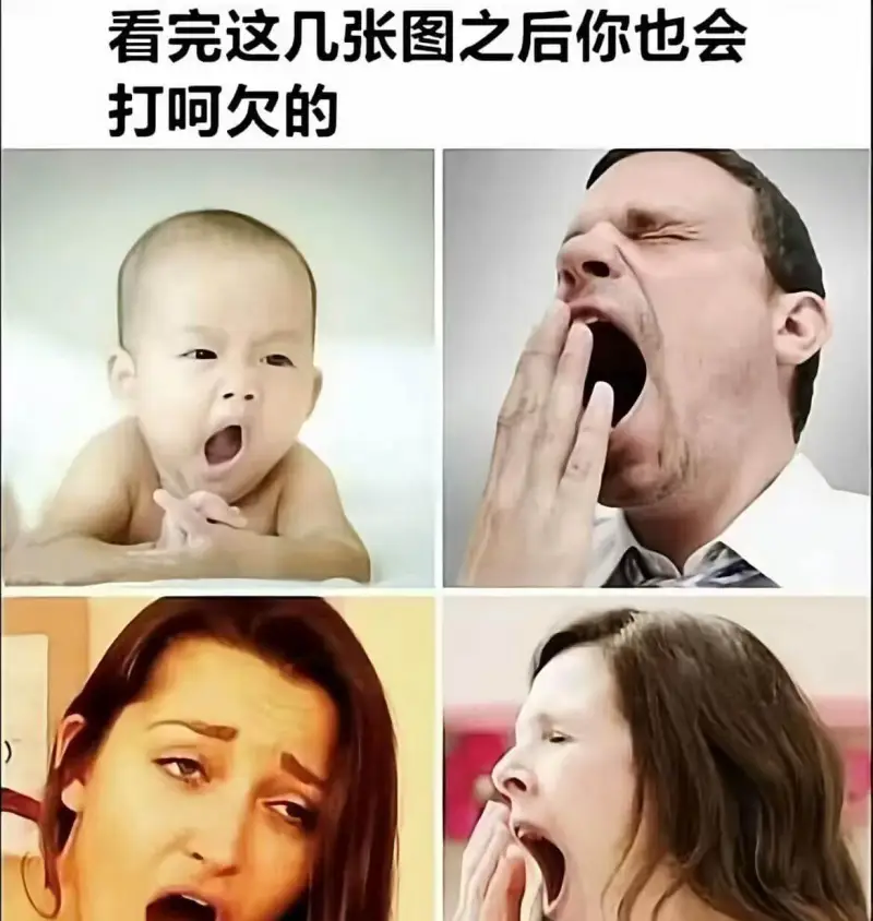 看完这几张图之后你也会打呵欠的