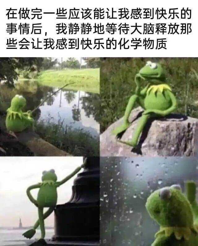 在做完一些应该能让我感到快乐的事情后，我静静地等待大脑释放那