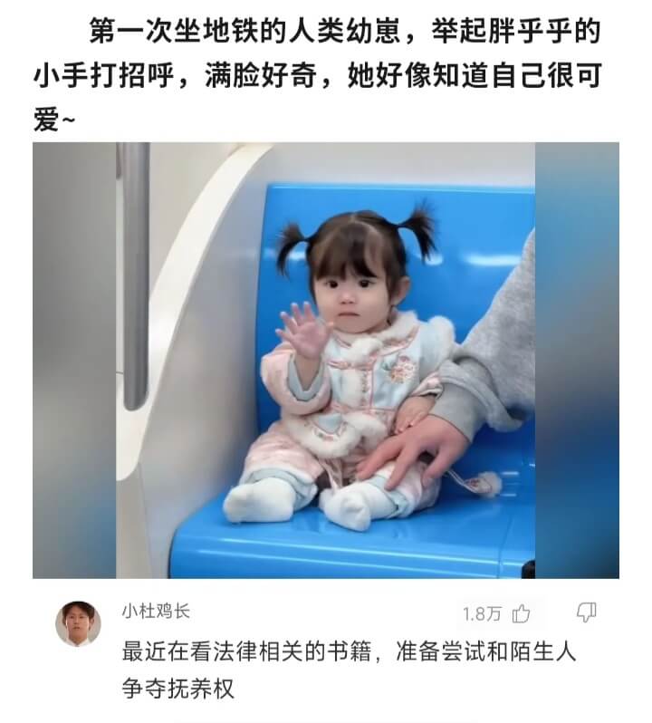 第一次坐地铁的人类幼崽，举起胖乎乎的小手打招呼，满脸好奇，她