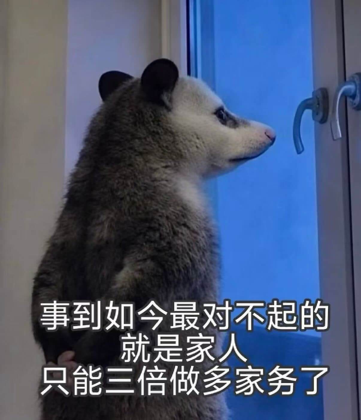 事到如今，最对不起的就是家人，只能三倍做多家务了。