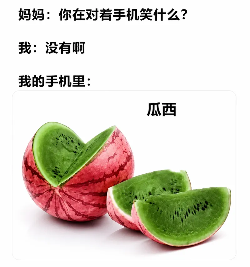 妈妈：你在对着手机笑什么？我：没有啊。我的手机里：瓜西