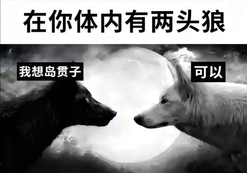 心动不如行动，这俩一伙儿的