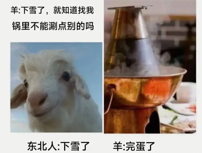 羊：下雪了，就知道找我锅里不能涮点别的吗东北人：下雪了羊：完