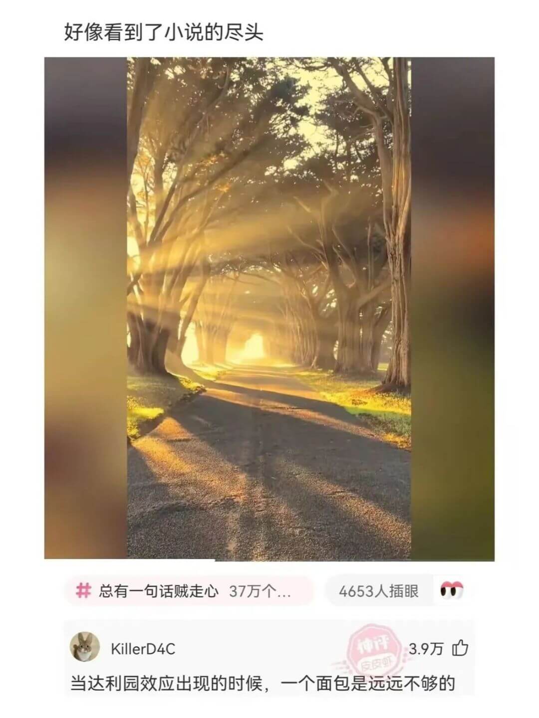 好像看到了小说的尽头总有一句话贼走心37万个...4653人